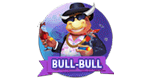 bull bull